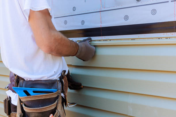 Affordable Vinyl Siding solutions in Oak Park, IL